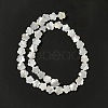 Natural White Shell Beads Strands SHEL-F003-07-5