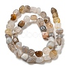 Natural Botswana Agate Beads Strands G-D081-A10-01-3