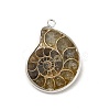 Natural Conch Fossil Pendants BSHE-E025-02P-3