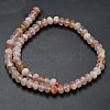 Natural Cherry Blossom Agate Beads Strands G-Z111-A40-5