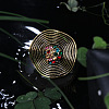 Alloy with Crystal Rhinestone Finger Rings FS-WG47CCC-04-2