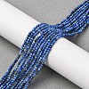 Natural Lapis Lazuli Beads Strands G-RM250104-D8-2
