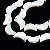 Natural Trochid Shell/Trochus Shell Beads Strands SSHEL-N034-97B-B01-3