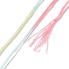 10 Skeins 6-Ply Polyester Embroidery Floss OCOR-K006-A74-3