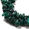Natural Malachite Beads Strands G-G0003-B41-3