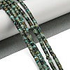Natural African Turquoise(Jasper) Beads Strands X-G-C084-D03-02-2