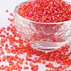 Two Cut Glass Seed Beads CSDB165-1
