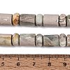 Natural Variscite Beads Strands G-Q616-09J-5