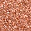 Transparent Glass Bugle Beads SEED-N005-001-C14-3