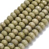 Natural Alashan Agate Beads Strands G-Z111-A39-02-3