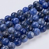 Natural Sodalite Beads Strands X-G-G515-6mm-07-1