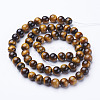 Natural Tiger Eye GSR6MMC014-A-3