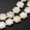 Natural Trochid Shell/Trochus Shell Beads Strands SSHEL-K010-03-3