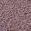 MIYUKI Round Rocailles Beads X-SEED-G007-RR0579-3