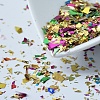 Plastic Candy Sequins/Paillette Chip DIY-I019-01N-1