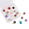 Kissitty 16Pcs 16 Style Natural & Synthetic Gemstone Pendants G-KS0001-06-4