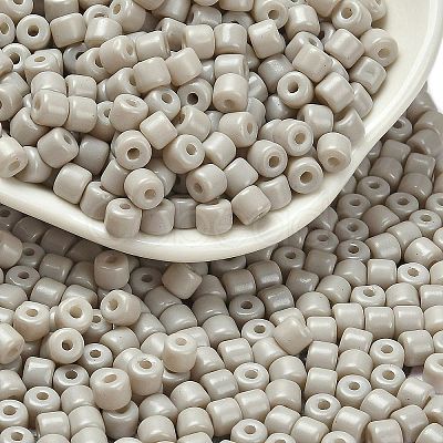 Baking Paint Pearlized Glass Seed Beads SEED-C001-04A-17-1