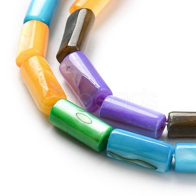 Natural Freshwater Shell Dyed Beads Strands SHEL-R129-04-1