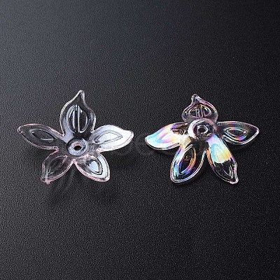 Transparent Acrylic Beads LS-MACR-S373-102-C02-1