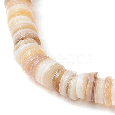 Natural Cultured Freshwater Pearl & Shell & Brass Spacer Beads Stretch Bracelets for Women BJEW-JB11874-01-1