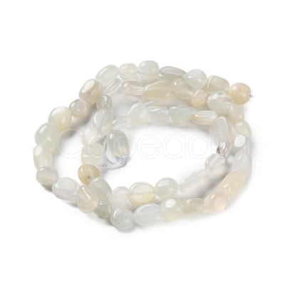 Natural White Moonstone Beads Strands G-P497-01C-65-1