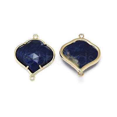 Natural Gemstone Links connectors G-L514-018-1