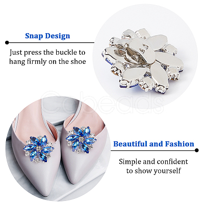 4 Pcs 2 Colors Platinum Alloy Shoe Buckle Clips ALRI-NB0001-09P-1
