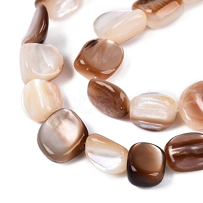 Natural Freshwater Shell Beads Strands SHEL-Q030-01-1