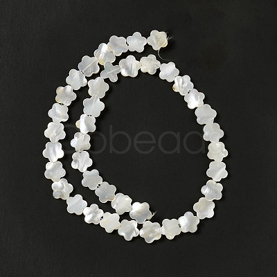 Natural White Shell Beads Strands SHEL-F003-07-1