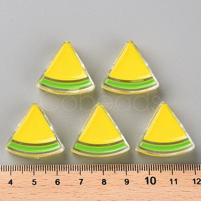 Transparent Enamel Acrylic Beads TACR-S155-001H-1