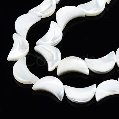 Natural Trochid Shell/Trochus Shell Beads Strands SSHEL-N034-97B-B01-1