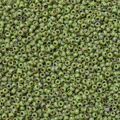 MIYUKI Round Rocailles Beads SEED-G007-RR4515-1