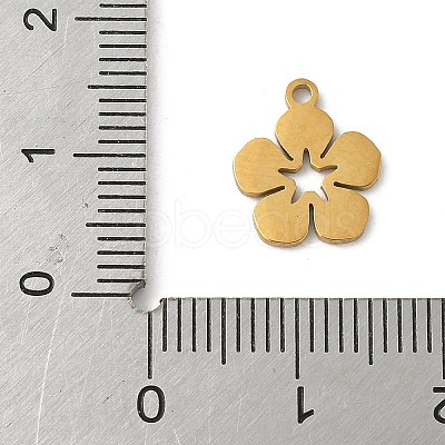 304 Stainless Steel Charms LS-STAS-G355-15G-1