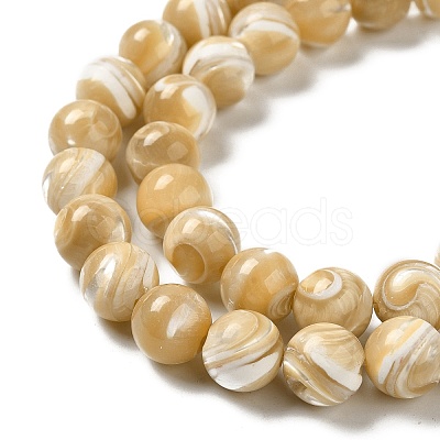 Natural Trochus Shell Beads Strands SHEL-K006-18D-1