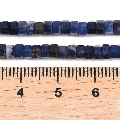 Natural Sodalite Beads Strands G-G345-C31-2x4mm-1