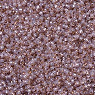 MIYUKI Round Rocailles Beads X-SEED-G007-RR0579-1