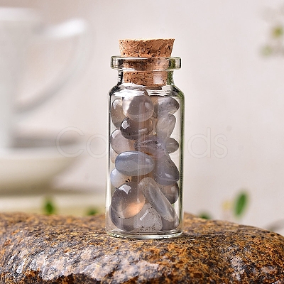 Glass Wishing Bottles PW-WG27717-16-1