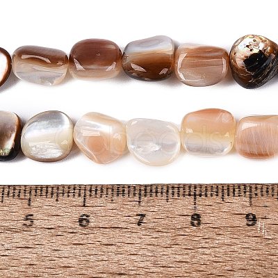Natural Freshwater Shell Beads Strands SHEL-Q030-01-1