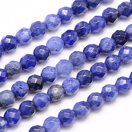 Natural Sodalite Beads Strands X-G-G545-16-1