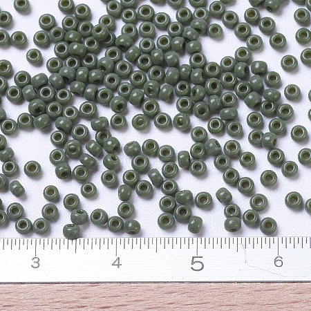 MIYUKI Round Rocailles Beads X-SEED-G007-RR0501-1