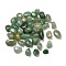 Natural Green Aventurine Beads, No Hole, Nuggets, Tumbled Stone, Healing Stones for 7 Chakras Balancing, Crystal Therapy, Meditation, Reiki, Vase Filler Gems, 9~45x8~25x4~20mm, about 156pcs/1000g