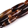 Natural Agate Dyed Beads Strands G-T138-230D-4