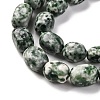 Natural Green Spot Jasper Beads Strands G-G146-A26-01-4