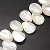 Natural Trochid Shell/Trochus Shell Beads Strands SSHEL-K009-08-3