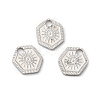 Non-Tarnish 316L Surgical Stainless Steel Charms STAS-H213-52P-3