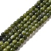 Natural Gemstone Beads Z0NCT011-2