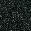 MIYUKI Round Rocailles Beads SEED-X0055-RR0156-2