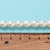 Shell Pearl Bead Strands X-BSHE-L026-03-8mm-8