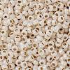 TOHO Round Seed Beads X-SEED-TR08-0751-2