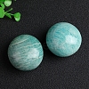 Natural Amazonite Palm Stones PW-WG58179-01-3